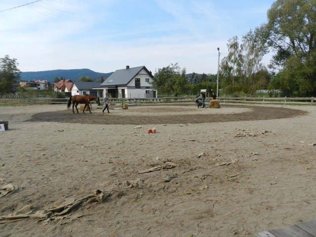 Babie Lato 2016